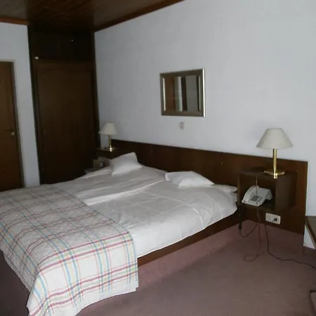 Guest house Altes Haus 2*